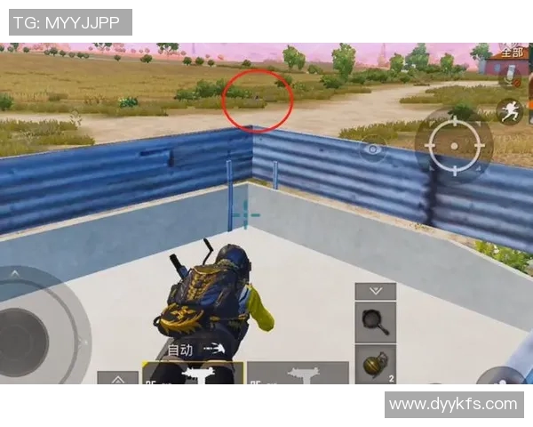 从零开始：全面解析和平精英的策略与技巧助你快速上手与提升游戏水平