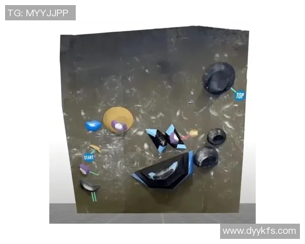 上海攀岩队队员个人能力深度对比与分析探讨